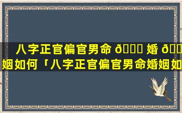 八字正官偏官男命 🐘 婚 🐝 姻如何「八字正官偏官男命婚姻如何呢」